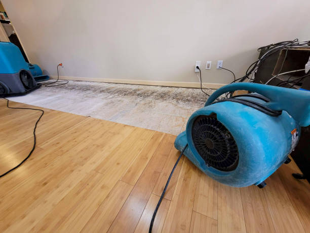 Professional Water Extraction technician working in Boncarbo, CO